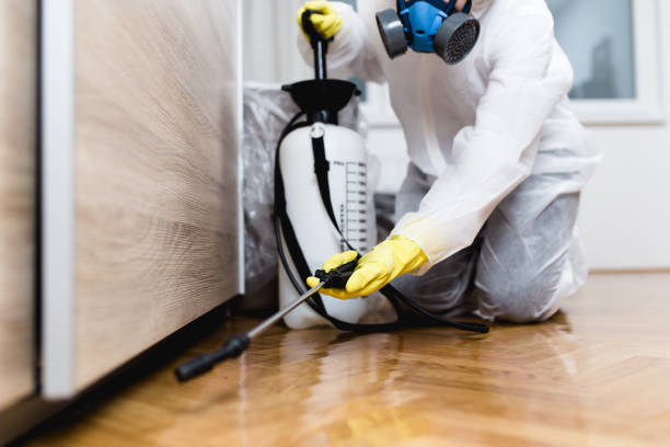 Best Affordable Pest Control Services  in Binghamton University, NY