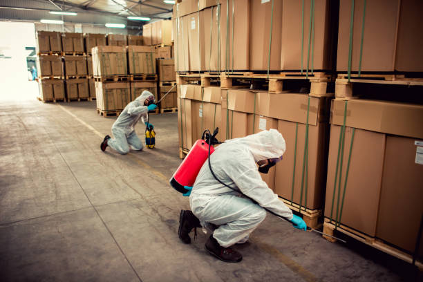 Best Exterminator Services  in Binghamton University, NY