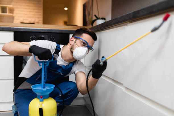 Best Rat Extermination Near Me  in Binghamton University, NY