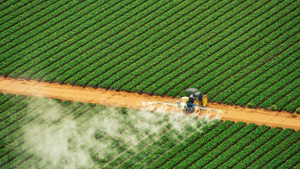 Best Mosquito Control Services  in Binghamton University, NY