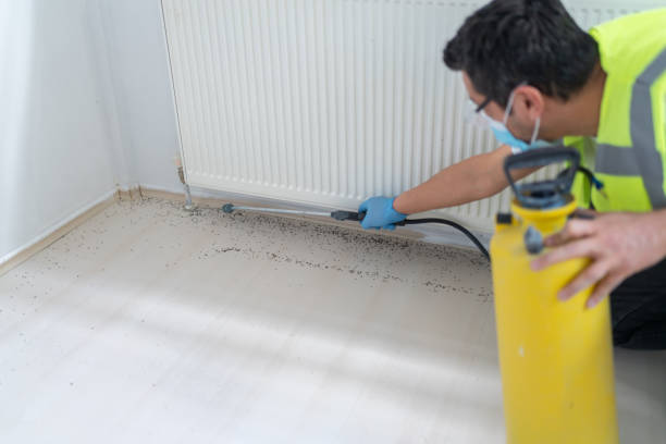 Best Pest Prevention Services  in Binghamton University, NY